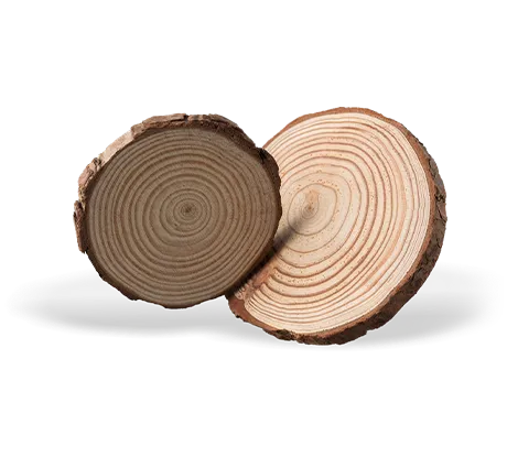 Suntek Ply quality features for plywood
