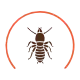 termite_free